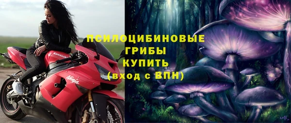 герыч Алексин