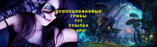 МДМА Алексеевка
