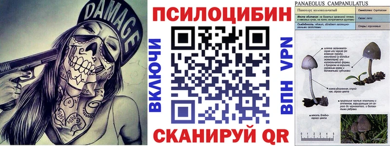 Псилоцибиновые грибы мухоморы  продажа наркотиков  Катав-Ивановск 